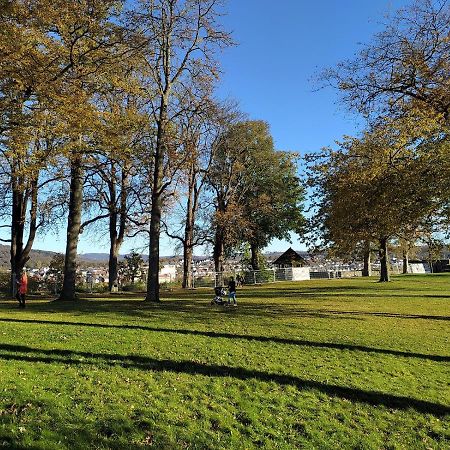 شقة Panoramahaus Sauerland ارنسبرغ المظهر الخارجي الصورة