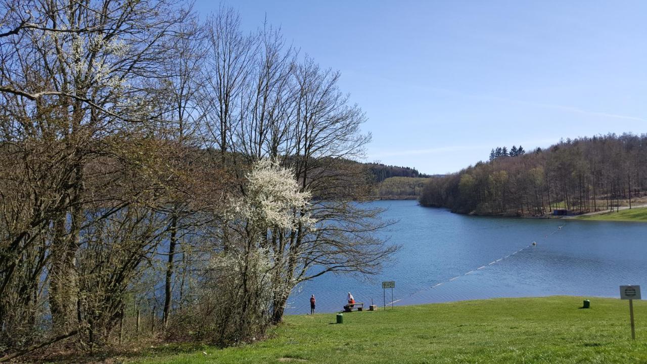 شقة Panoramahaus Sauerland ارنسبرغ المظهر الخارجي الصورة