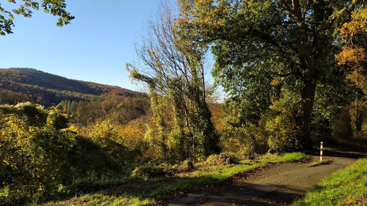 شقة Panoramahaus Sauerland ارنسبرغ المظهر الخارجي الصورة