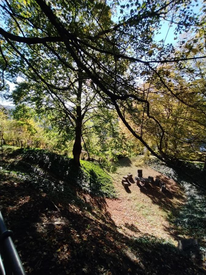 شقة Panoramahaus Sauerland ارنسبرغ المظهر الخارجي الصورة